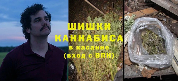 mdpv Инсар
